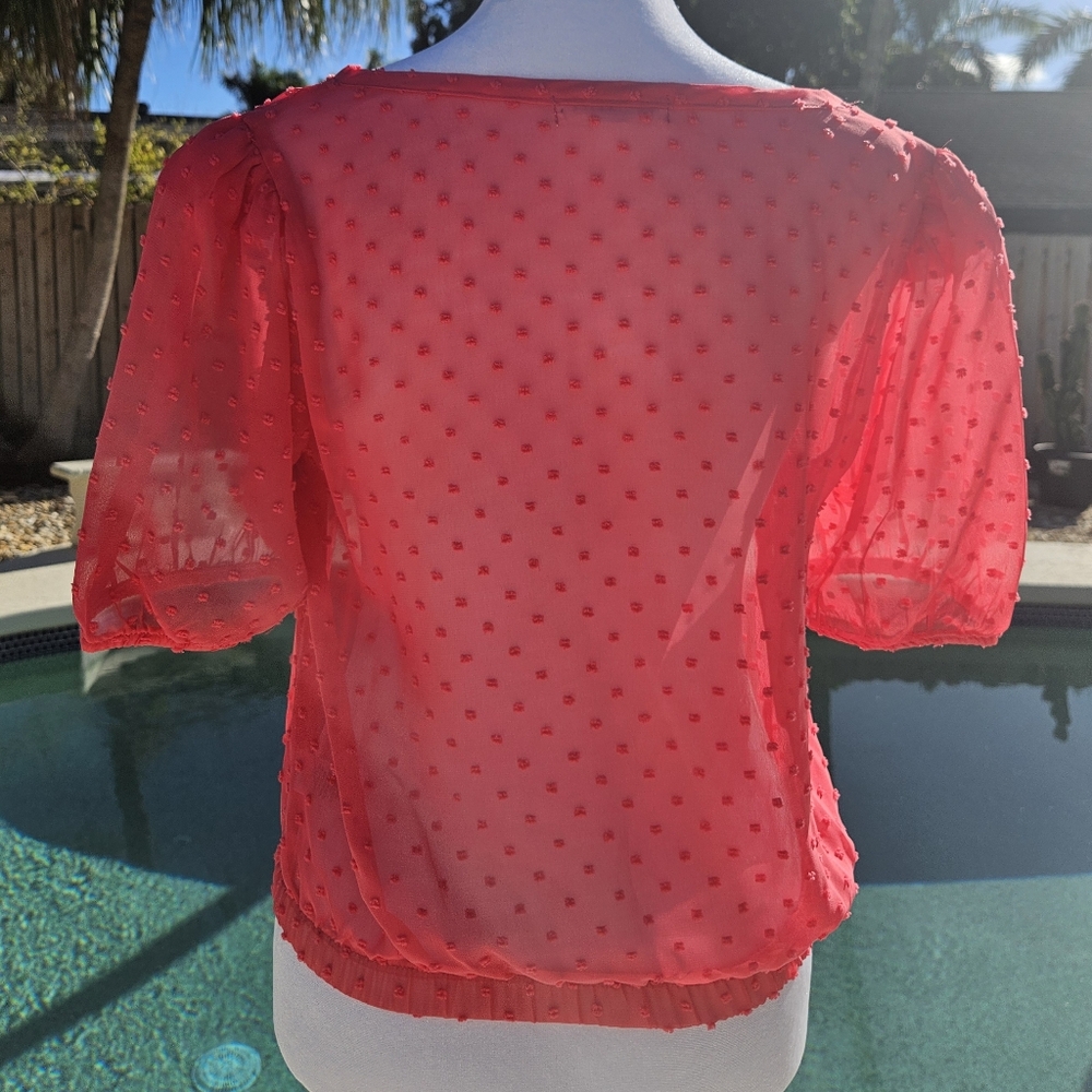 NEW Socialite Pink Sheer Blouse Size XS Feminine Romantic Cocquette Girl Summer - Picture 6 of 12